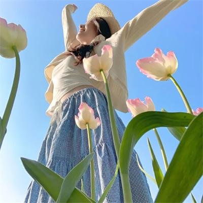不再征服世界